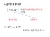 5.1.1生物與環(huán)境的相互作用（課件）2025-2026學(xué)年人教版八年級生物上冊