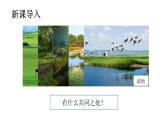5.1.2生態(tài)系統(tǒng)的結(jié)構(gòu)和功能（課件）2025-2026學(xué)年人教版八年級生物上冊