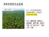 5.1.3生物圈（課件）2025-2026學(xué)年人教版八年級生物上冊