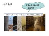 5.2.1分析人類活動(dòng)對生態(tài)環(huán)境的影響（課件）2025-2026學(xué)年人教版八年級生物上冊