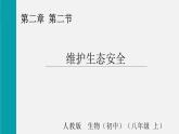5.2.2維護(hù)生態(tài)安全（課件）2025-2026學(xué)年人教版八年級生物上冊