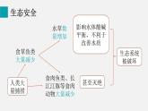 5.2.2維護(hù)生態(tài)安全（課件）2025-2026學(xué)年人教版八年級生物上冊