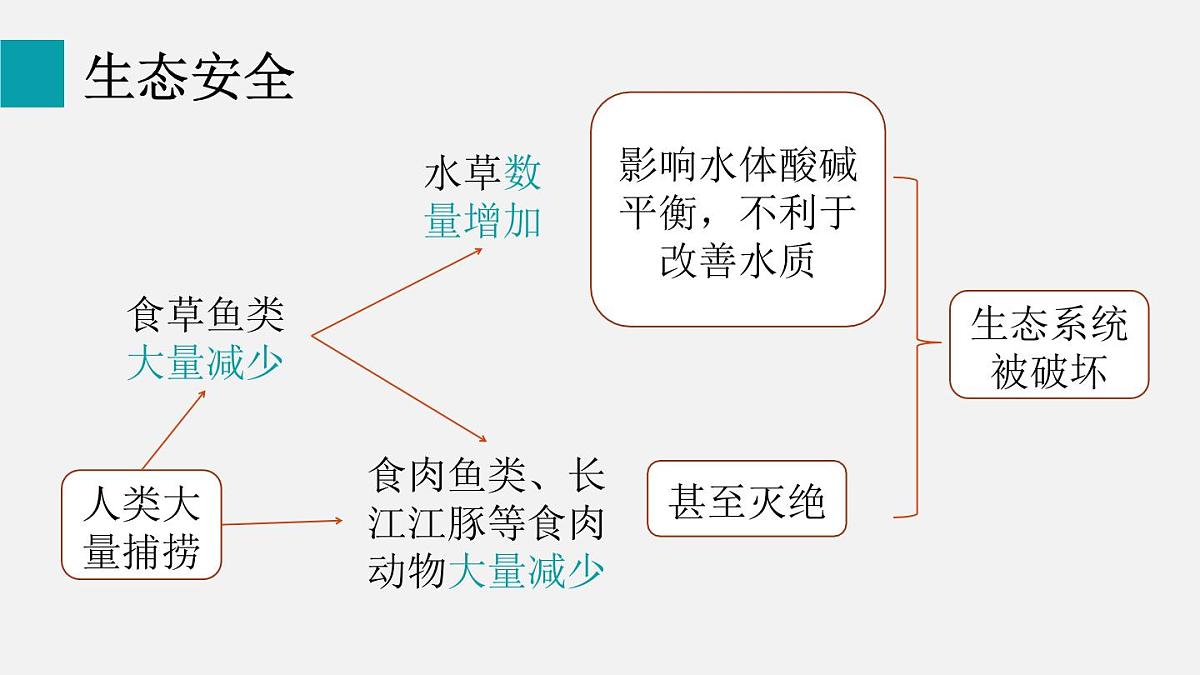 5.2.2维护生态安全（课件）2025-2026学年人教版八年级生物上册第4页
