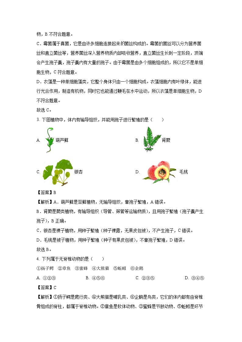 【生物】2025年辽宁省营口市八年级二模试题（解析版）第2页
