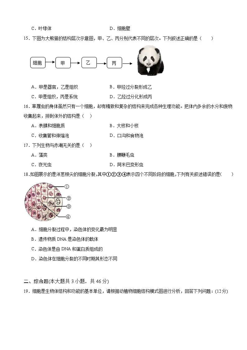 人教版（2024）七年级上册生物第一单元 生物和细胞 单元练习试卷（含答案）第3页