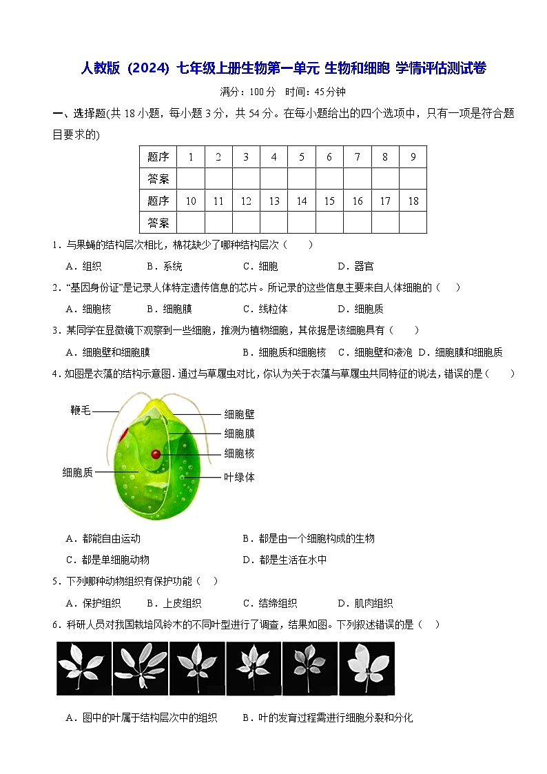 人教版（2024）七年级上册生物第一单元 生物和细胞 学情评估测试卷（含答案）第1页