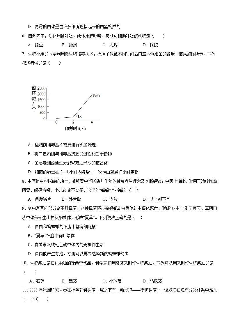 人教版（2024）七年级上册生物第二单元 多种多样的生物 学情评估测试卷（含答案）第2页