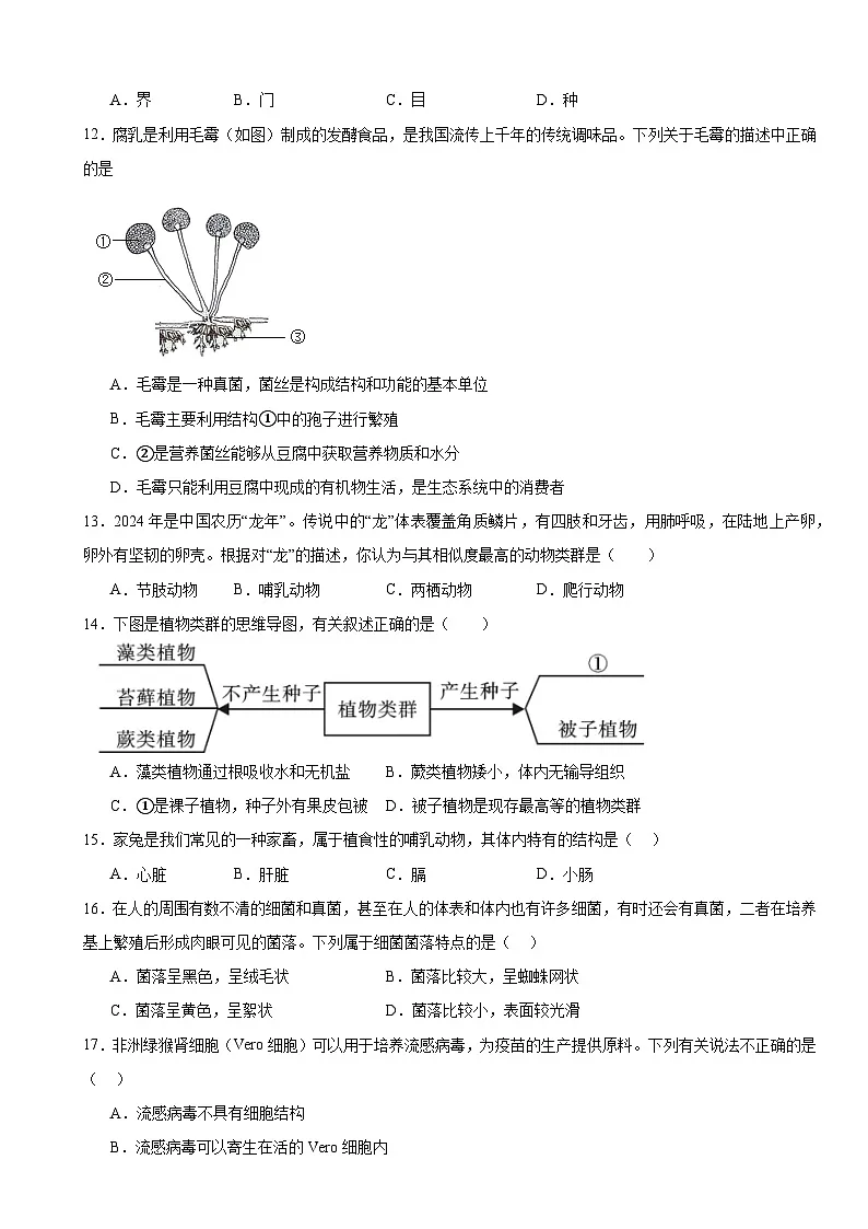 人教版（2024）七年级上册生物第二单元 多种多样的生物 学情评估测试卷（含答案）第3页