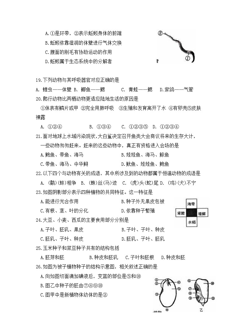 人教版（2024）七年级上册生物第二单元第一、二章综合测试卷（含答案）第3页