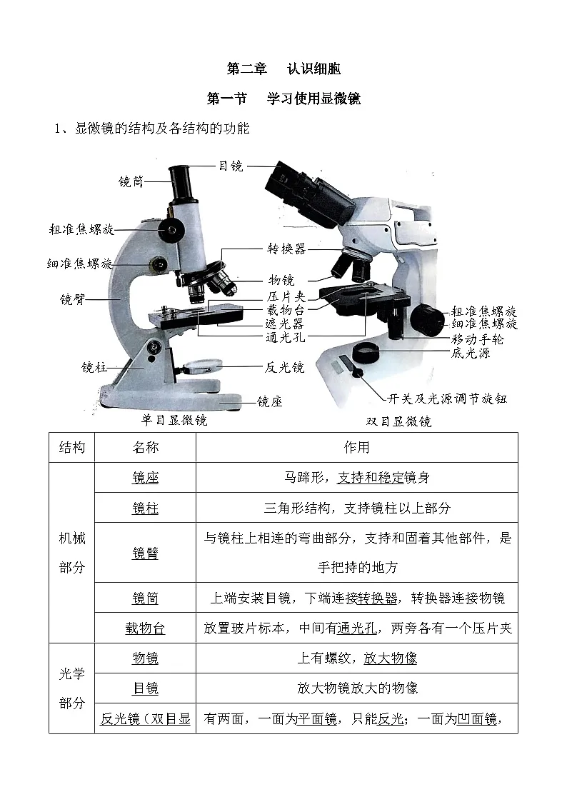 人教版（2024）七年级上册生物期末复习知识点背诵提纲第3页