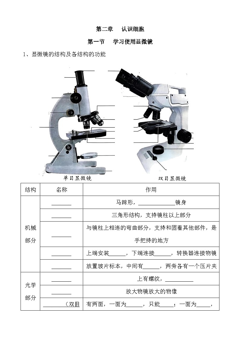 2026年中考生物一轮复习：人教版（2024）七年级上、下册生物知识点提纲（填空版+答案版）第3页