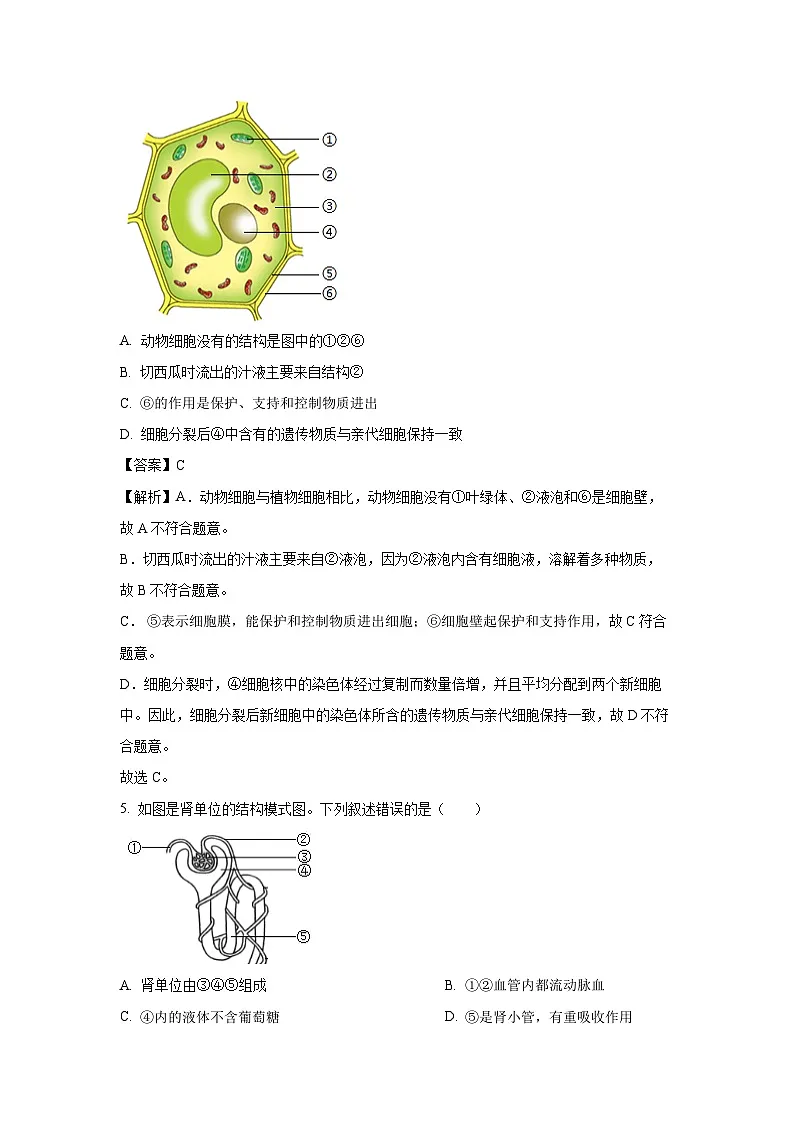 【生物】2025年四川省泸州市龙马潭区中考三模试题（解析版）第3页