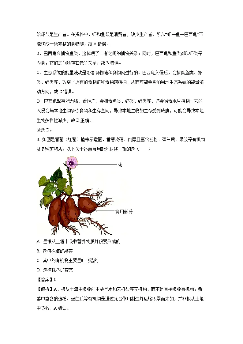 【生物】2025年内蒙古包头市青山区八年级中考二模试题（解析版）第2页