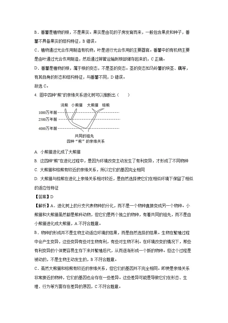【生物】2025年内蒙古包头市青山区八年级中考二模试题（解析版）第3页