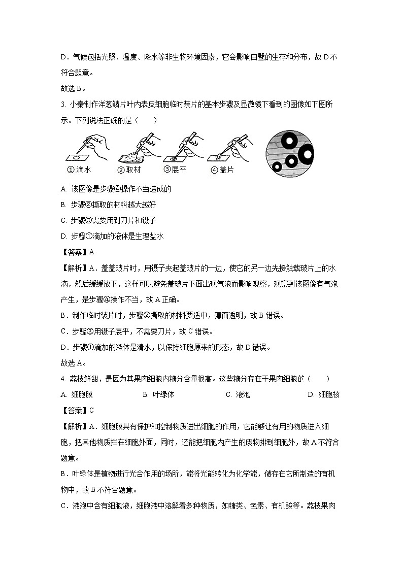 【生物】2025年广东省惠州市惠阳区八年级中考二模试题（解析版）第2页