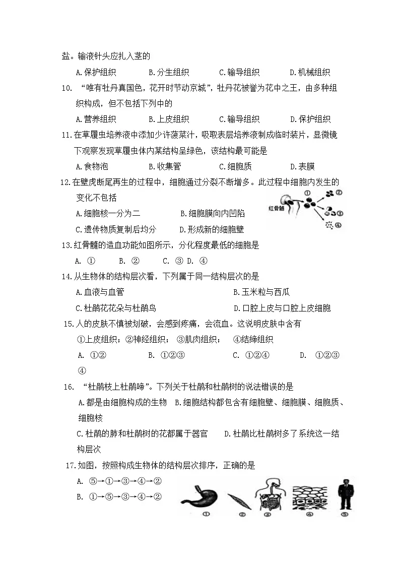 人教版（2024）七年级上册生物第一单元第三章综合测试卷（含答案）第2页