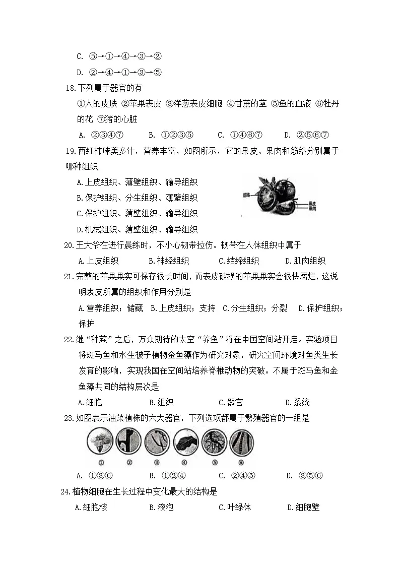 人教版（2024）七年级上册生物第一单元第三章综合测试卷（含答案）第3页