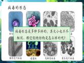 【新教材核心素養(yǎng)】北師大版生物八年級(jí)上冊(cè)5.12.1《微生物的特點(diǎn)和主要類型》第3課時(shí)（教學(xué)課件+教學(xué)設(shè)計(jì)）