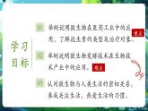 【新教材核心素養(yǎng)】北師大版生物八年級上冊5.12.2《微生物與人類的關(guān)系》第2課時（教學(xué)課件+教學(xué)設(shè)計）