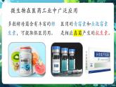 【新教材核心素養(yǎng)】北師大版生物八年級上冊5.12.2《微生物與人類的關(guān)系》第2課時（教學(xué)課件+教學(xué)設(shè)計）