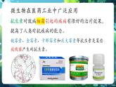 【新教材核心素養(yǎng)】北師大版生物八年級上冊5.12.2《微生物與人類的關(guān)系》第2課時（教學(xué)課件+教學(xué)設(shè)計）