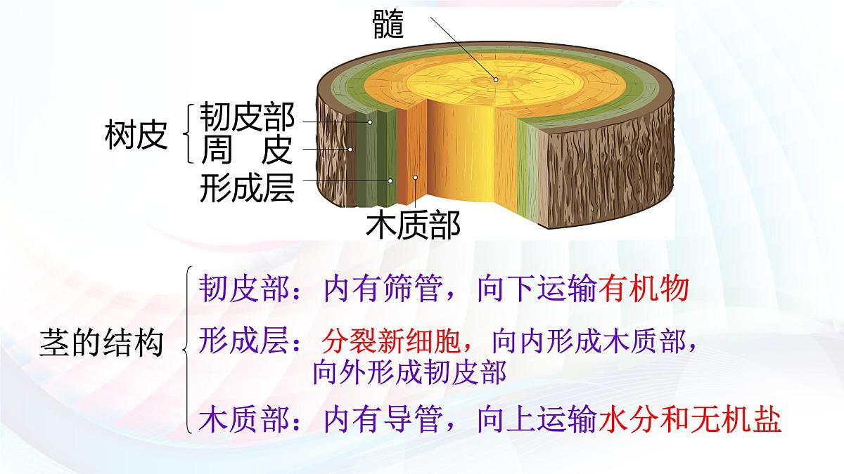 3.2.1 水的利用与散失 课件-2024-2025学年人教版生物七年级下册第6页