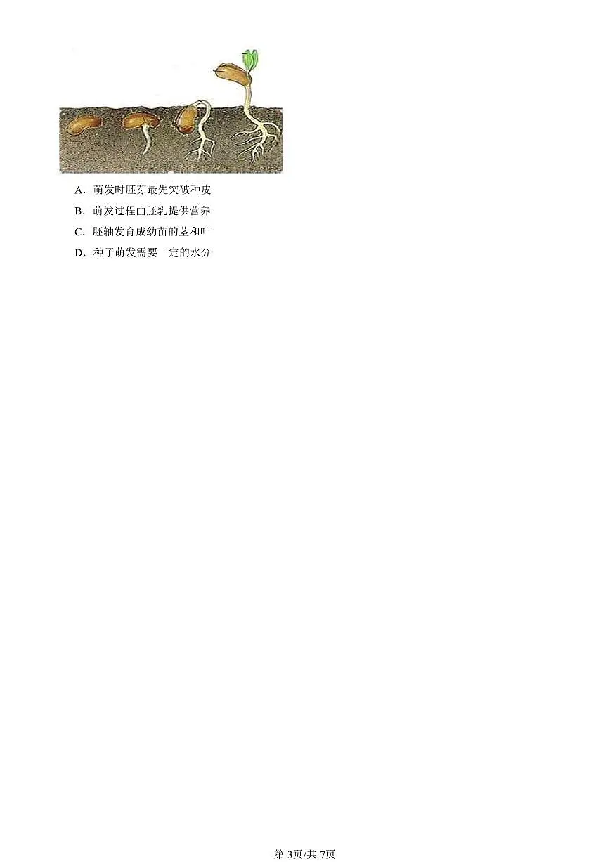 2021-2025北京初二二模生物汇编：种子的萌发试卷 有解析第3页