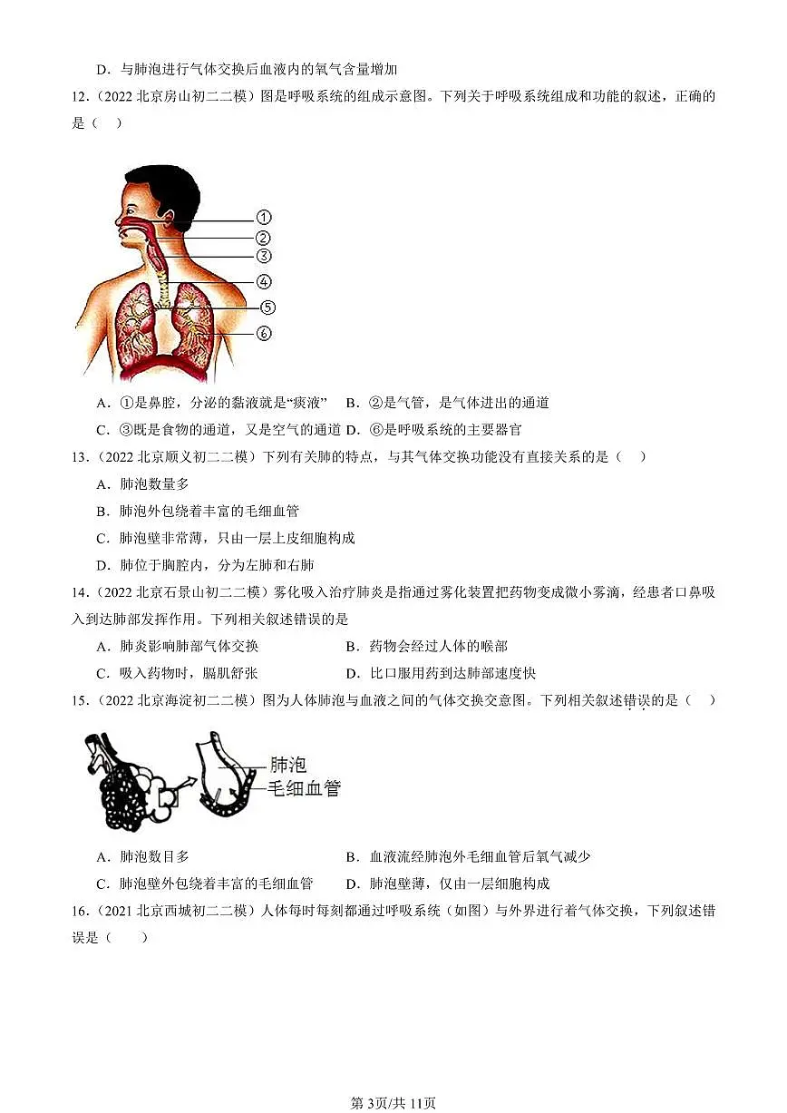 2021-2025北京初二二模生物汇编：人体的呼吸章节综合 有答案第3页