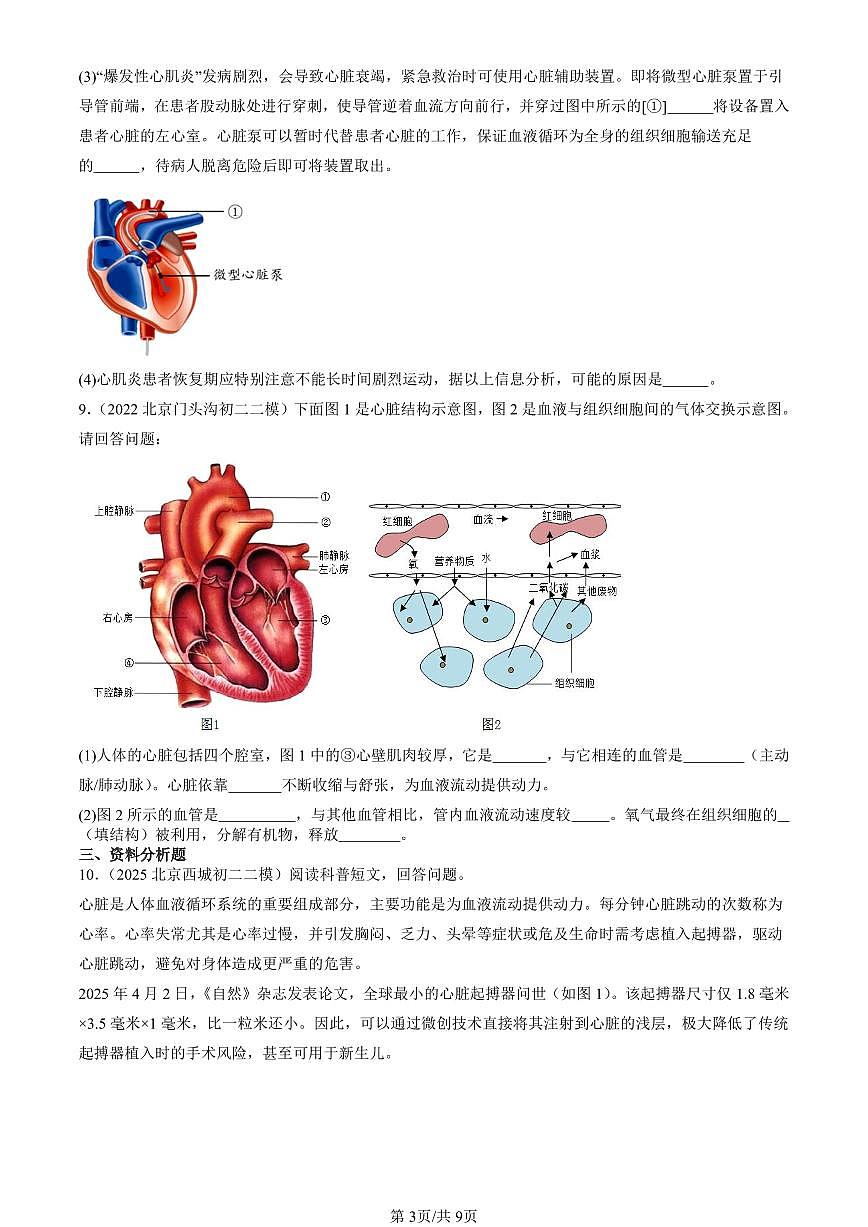 2021-2025北京初二二模生物汇编：输送血液的泵—心脏 有答案第3页