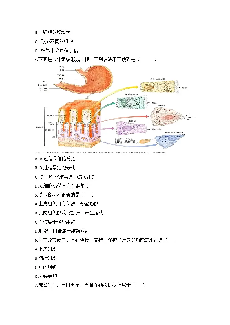 人教版初中生物学七年级上册1.3.2动物体的结构层次练习题带答案解析第2页