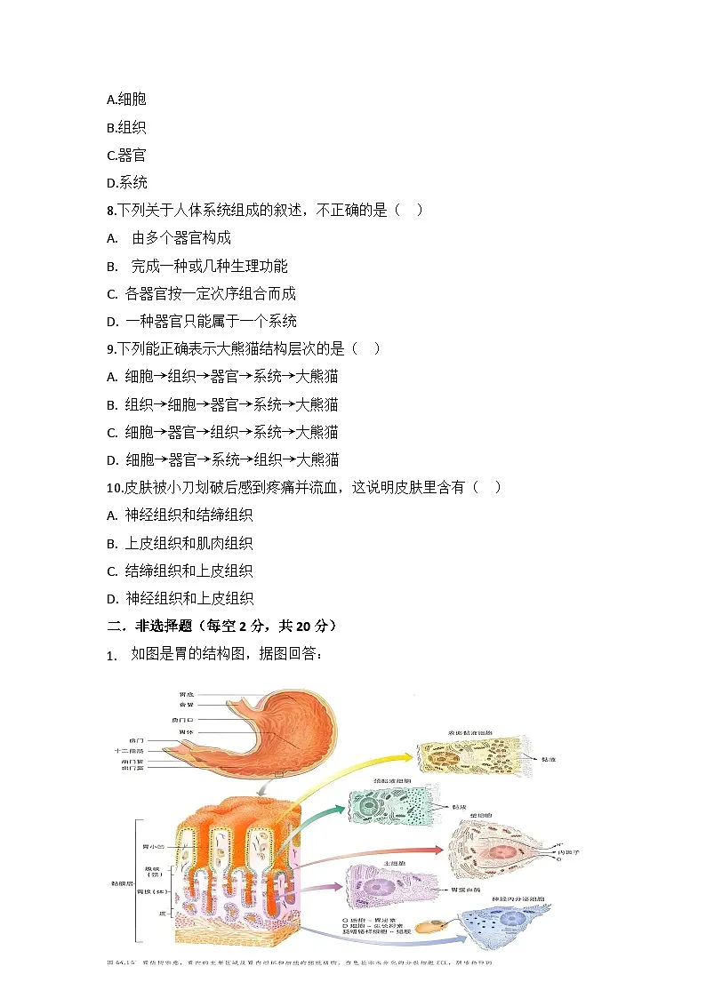 人教版初中生物学七年级上册1.3.2动物体的结构层次练习题带答案解析第3页