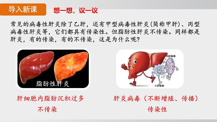 4.7.1 传染病及其预防（课件）2025-2026学年人教版八年级生物上册第5页