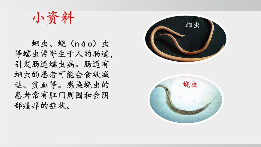 4.7.1 传染病及其预防（课件）2025-2026学年人教版八年级生物上册第8页