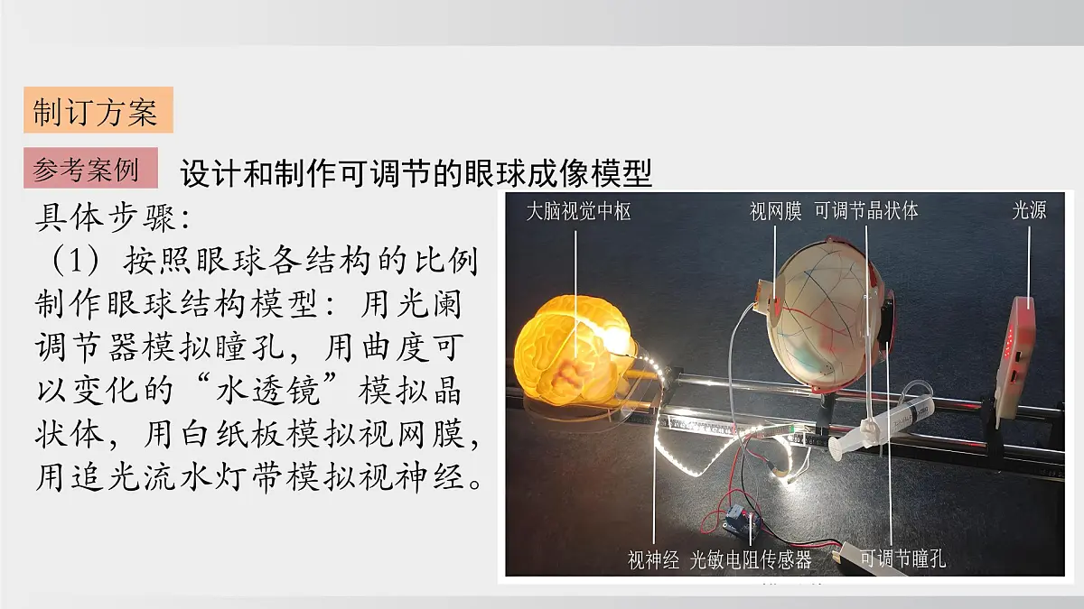 综合实践项目 健康生活宣传展演（课件）2025-2026学年人教版八年级生物上册第7页