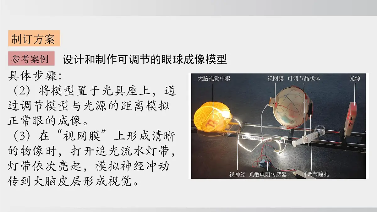 综合实践项目 健康生活宣传展演（课件）2025-2026学年人教版八年级生物上册第8页