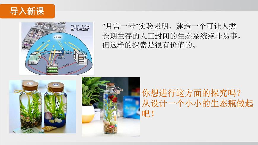 综合实践项目 设计并制作生态瓶（课件）2025-2026学年人教版八年级生物上册第3页