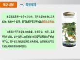 綜合實踐項目 設(shè)計并制作生態(tài)瓶（課件）2025-2026學年人教版八年級生物上冊