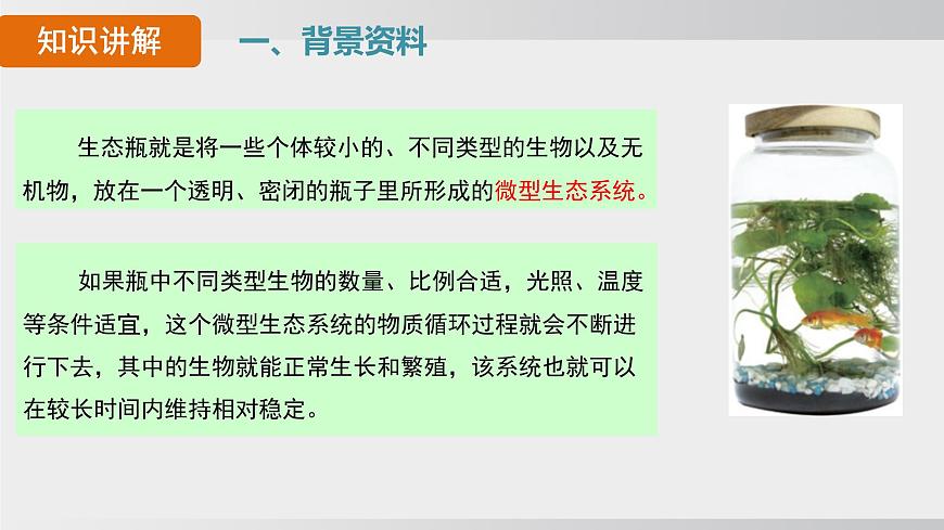 综合实践项目 设计并制作生态瓶（课件）2025-2026学年人教版八年级生物上册第4页