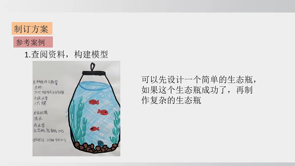 综合实践项目 设计并制作生态瓶（课件）2025-2026学年人教版八年级生物上册第7页