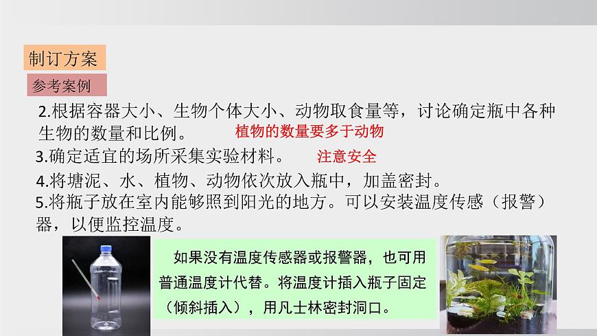 综合实践项目 设计并制作生态瓶（课件）2025-2026学年人教版八年级生物上册第8页