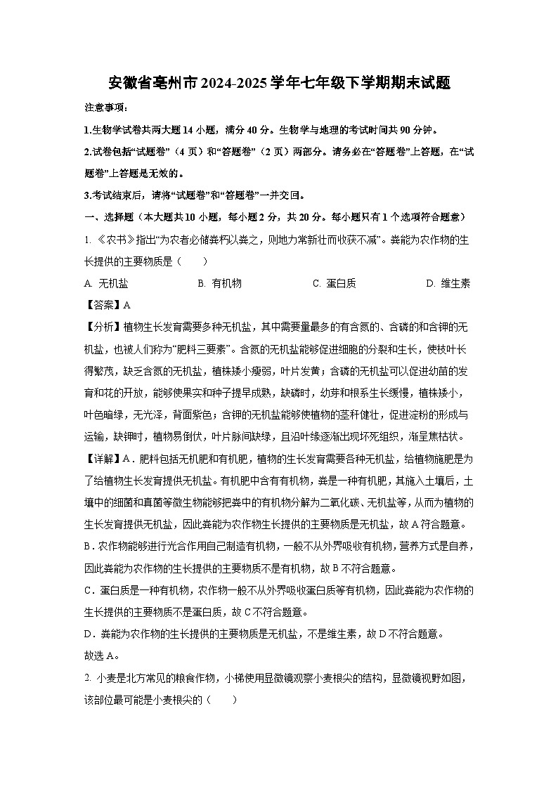 2024-2025学年安徽省亳州市七年级下学期期末生物试卷（解析版）第1页
