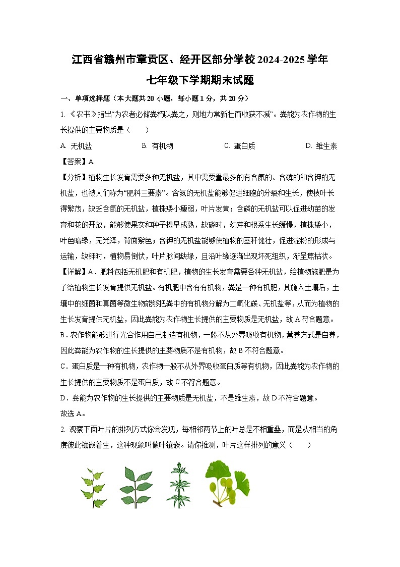 2024-2025学年江西省赣州市章贡区、经开区部分学校七年级下学期期末生物试卷（解析版）第1页