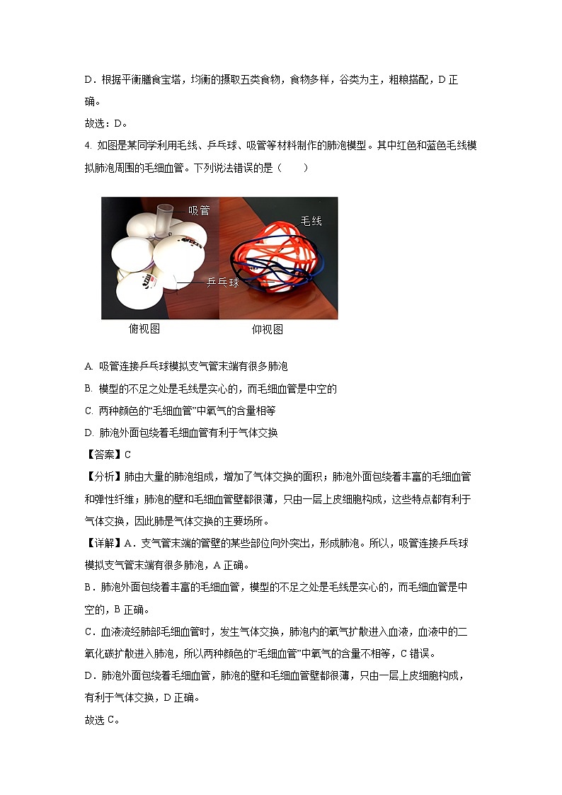 2024-2025学年江西省赣州市章贡区、经开区部分学校七年级下学期期末生物试卷（解析版）第3页