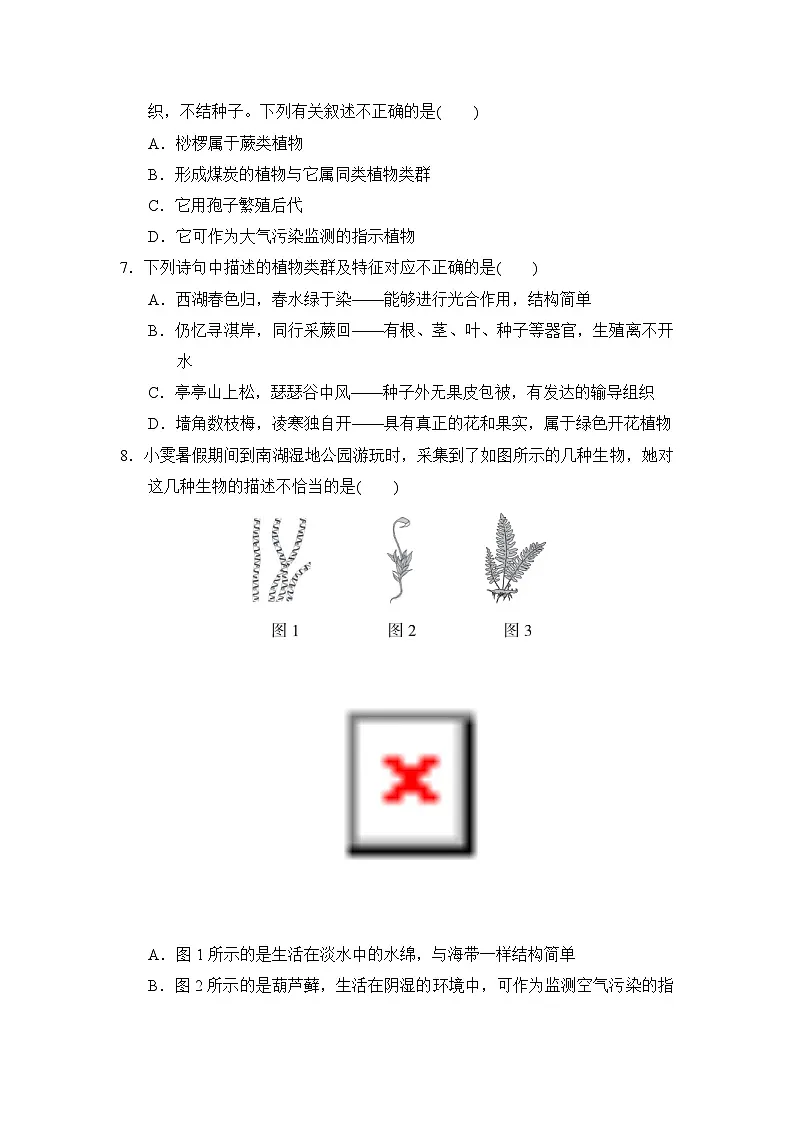2024-2025学年七年级生物上册 第二单元第一章 单元测试卷（冀少版）第2页
