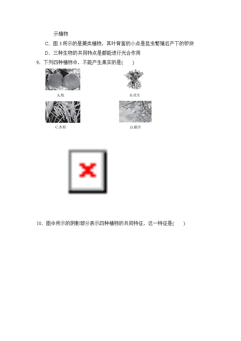 2024-2025学年七年级生物上册 第二单元第一章 单元测试卷（冀少版）第3页