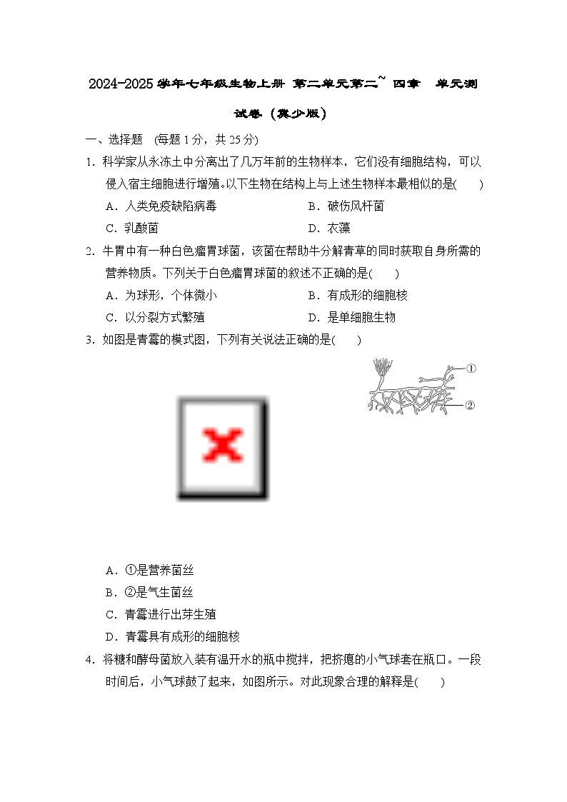 2024-2025学年七年级生物上册 第二单元第二~ 四章 单元测试卷（冀少版）第1页