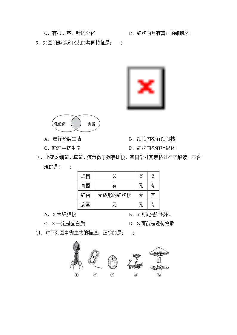 2024-2025学年七年级生物上册 第二单元第二~ 四章 单元测试卷（冀少版）第3页
