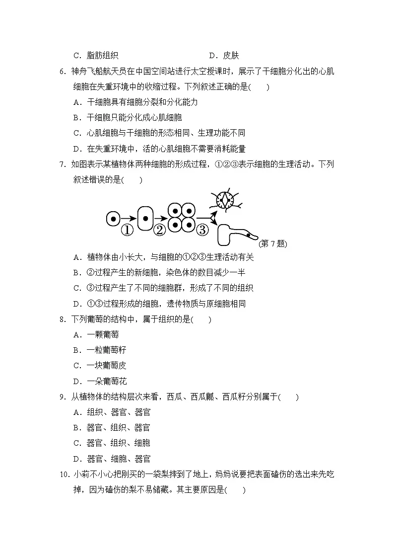 2024-2025学年七年级生物上册 第一单元第三章 单元测试卷（人教版）第2页