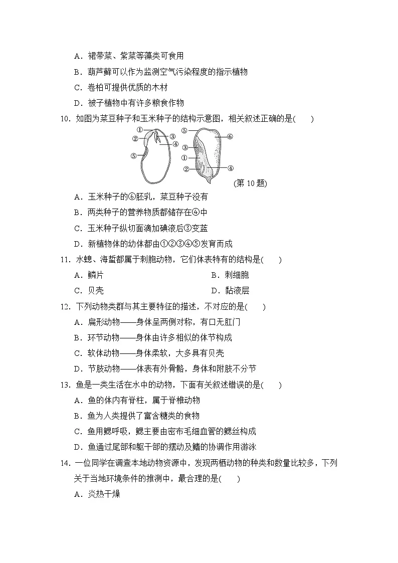 2024-2025学年七年级生物上册 第二单元第一、二章 单元测试卷（人教版）第3页