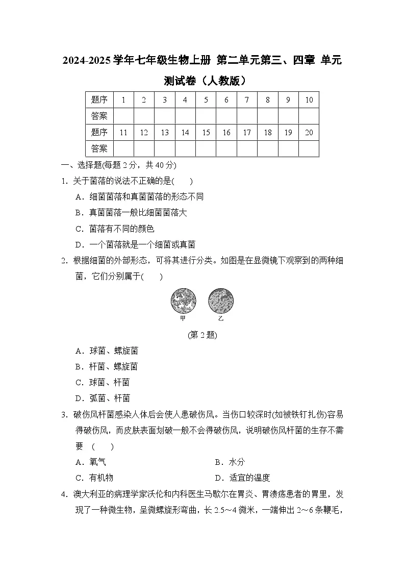 2024-2025学年七年级生物上册 第二单元第三、四章 单元测试卷（人教版）第1页